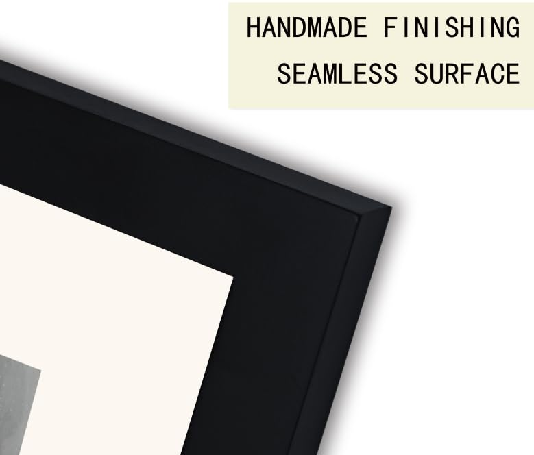 Art Emotion 20x24 Matted to 16x20 Black Solid Wood Picture Frame